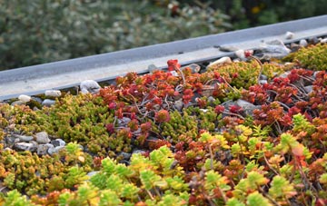 the cost of Sutton St Edmund green roof installation