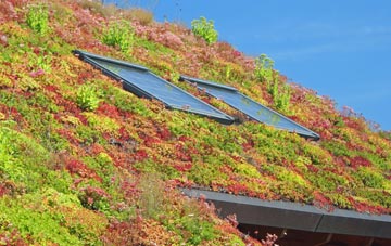 Sutton St Edmund living roof systems
