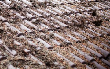 Sutton St Edmund roof cleaning companies