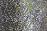 Sutton St Edmund fibreglass roof work